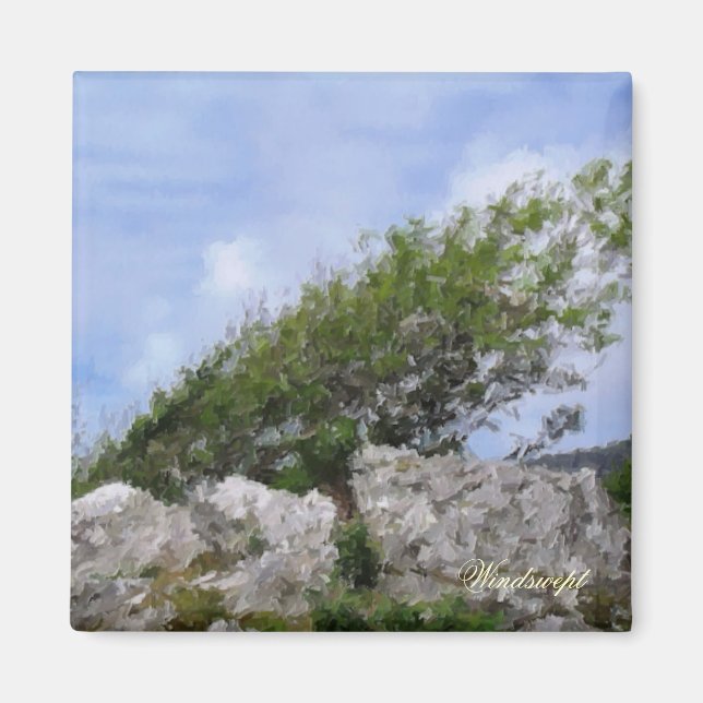 AIMANT ARBRES (Devant)