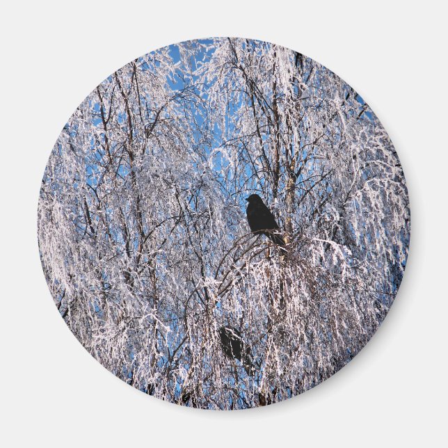 AIMANT ARBRES (Devant)