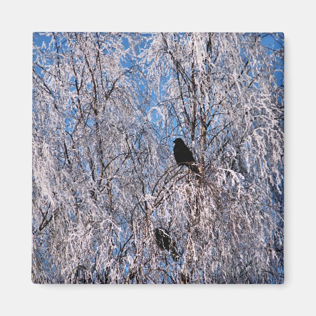 AIMANT ARBRES (Devant)