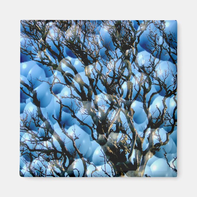 AIMANT ARBRES (Devant)
