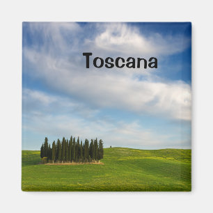 Aimant Arbres de Cypress dans l'aimant des textes de la