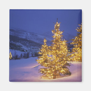 Aimant Arbres de Noël, Park City, montagnes de Wastch,