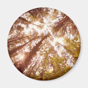 Aimant Arbres d'été vintages