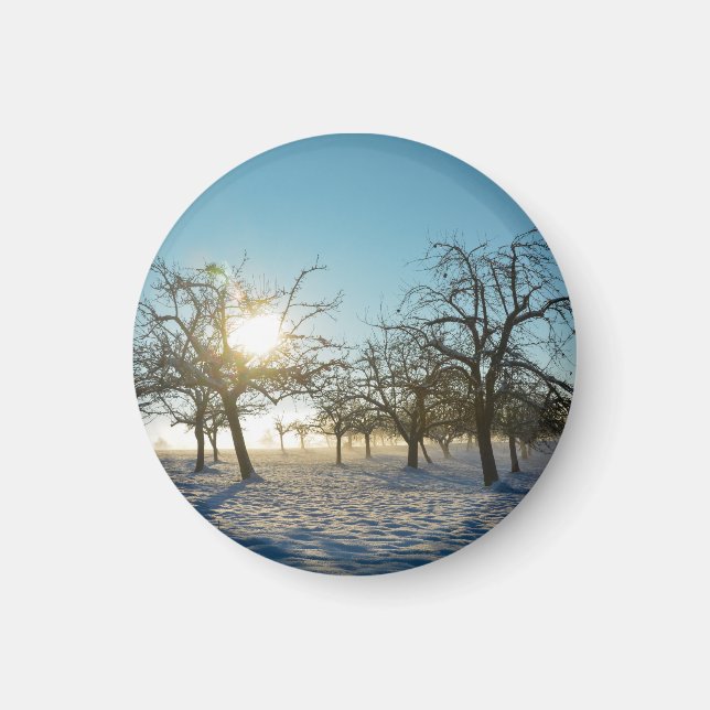 Aimant Arbres d'hiver au lever du soleil (Devant)