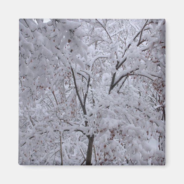 Aimant Arbres enneigés (Devant)