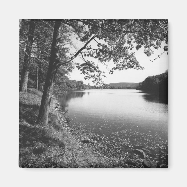 Aimant Arbres par rivière B&W (Devant)