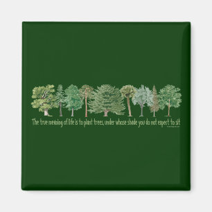 Aimant Arbres Plantes - Arbre, Gros