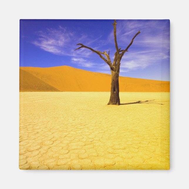Aimant Arbres squelettes dans Dead Vlei Sossusvlei, (Devant)