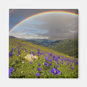 Aimant Arc-en-ciel au-dessus d'un pré fleurissant