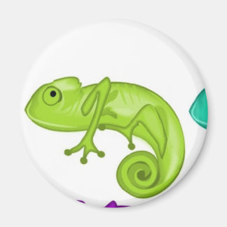 Aimant Arc-en-ciel de Chameleons