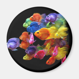 Aimant Arc-en-ciel de scare