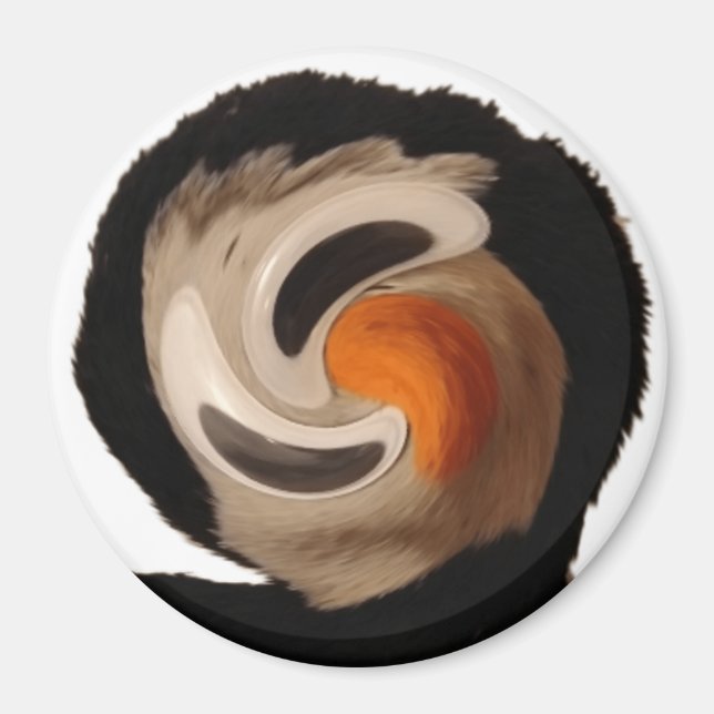 Aimant Archer étrange (Devant)