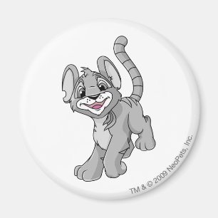 Aimant Argent de Kougra
