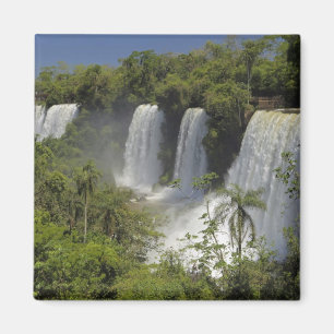 Aimant Argentine, les chutes d'Iguacu au soleil.