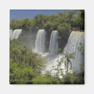 Aimant Argentine, les chutes d'Iguacu au soleil.