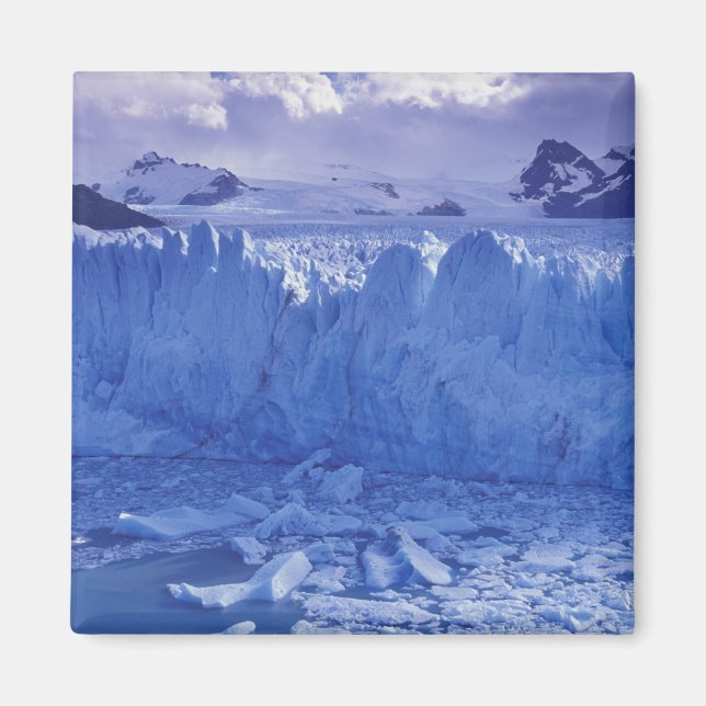 Aimant Argentine, Patagonie, Parque Nacional los (Devant)