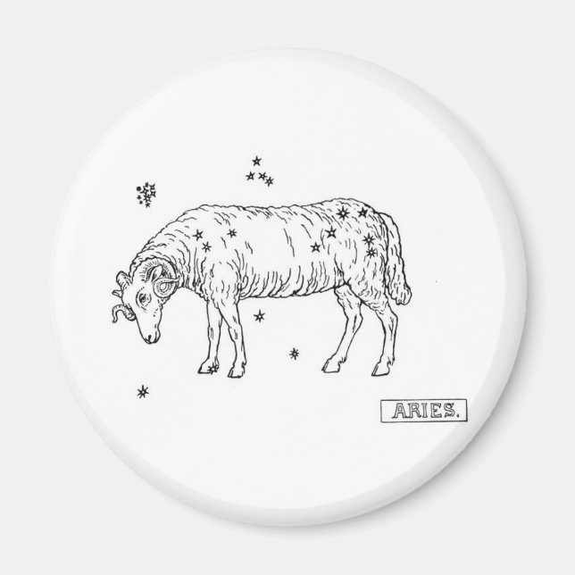 Aimant Aries (Devant)