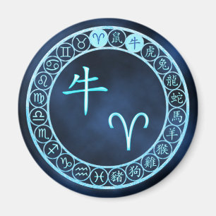 Aimant Aries/Ox