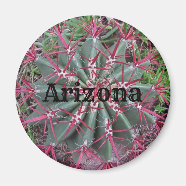 Aimant Arizona Cactus Photo Red Barrel Desert Plante (Devant)