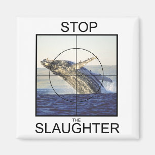 Aimant Arrêter l'abattage des baleines