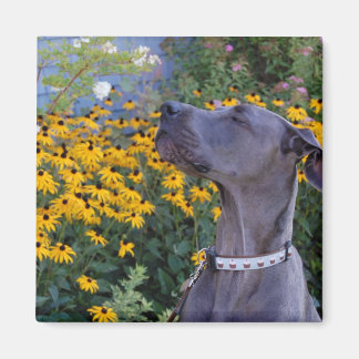 Aimant Arrêtez et sentez l'aimant Fleurs