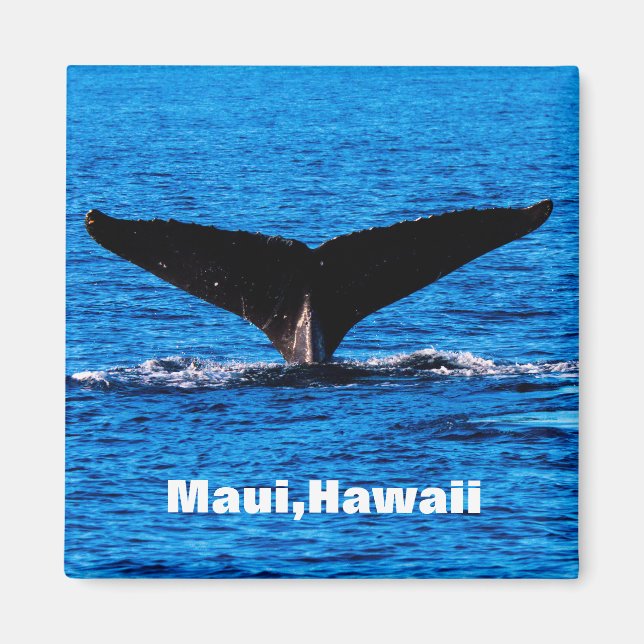 Aimant arrière de baleine à bosse de Maui personna (Devant)