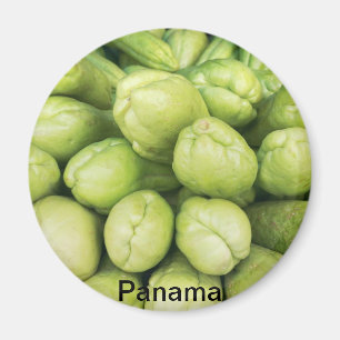 Aimant Arrière - plan de choko biologique Sechium edule