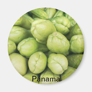 Aimant Arrière - plan de choko biologique Sechium edule