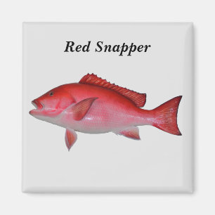 Aimant Arrière - plan de poisson Red Snapper