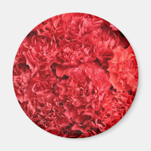 Aimant Arrière - plan Red Carnations