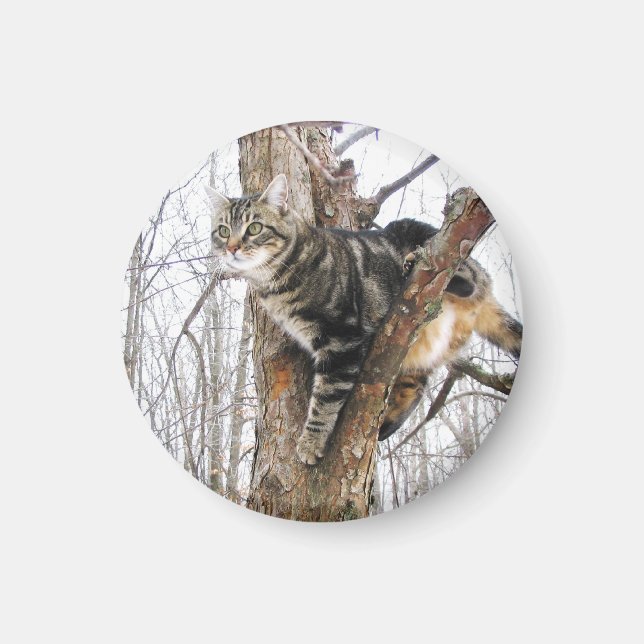 Aimant Arrondi de l'aimant pour chat de table (Devant)
