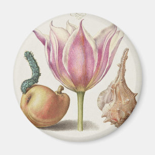 Aimant Art de calligraphie de la Renaissance Tulipe rose