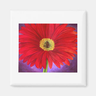 Aimant Art de la peinture à la Fleur de Gerber de la marg