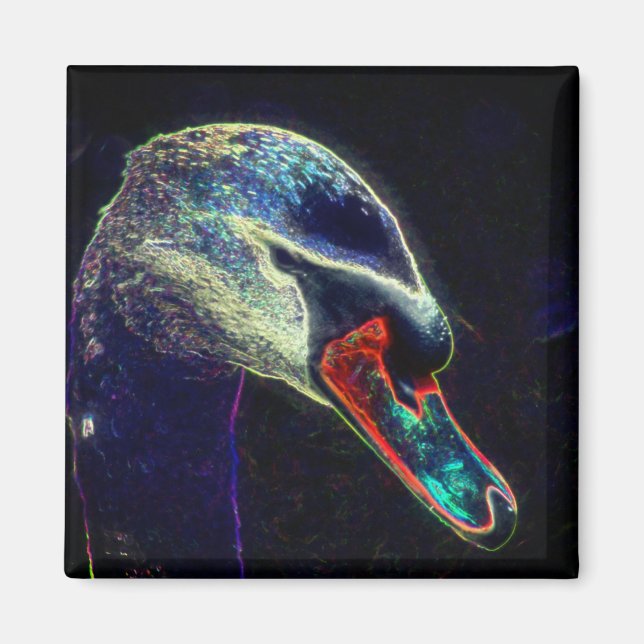 Aimant Art de nature abstrait de cygne royal (Devant)
