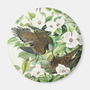 Aimant Art floral de la tourterelle triste d'Audubon vint