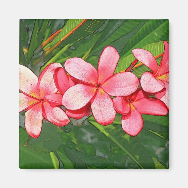 Aimant Art Frangipanier Tropical Rose (Devant)