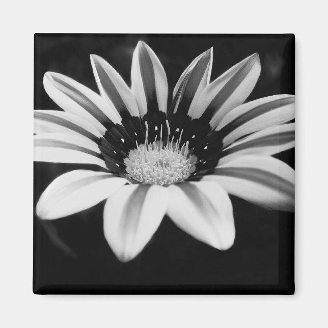 Aimant Art monochrome floral (Devant)