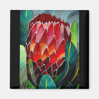 Aimant Art original de la fleur d'aquarelle Red Protea