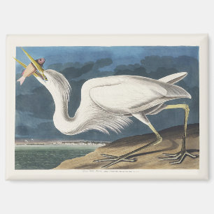 Aimant Art Vintage de l'Aigrette Américaine par Audubon