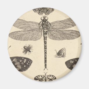 Aimant Art vintage de libellule (détail)
