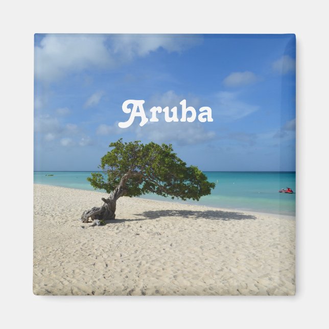 Aimant Aruba Divi Divi Tree (Devant)