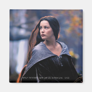 Aimant ARWEN™ Retour