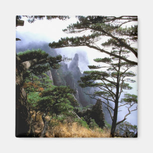 Aimant Asie, Chine, Huanshan. La montagne jaune