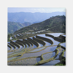 Aimant Asie, Chine, Yunnan, Yuanyang. Accidenté