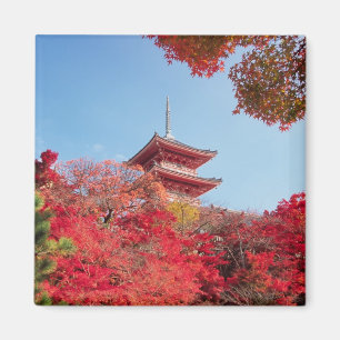 Aimant Asie, Japon, Kyoto. Couleur d'automne