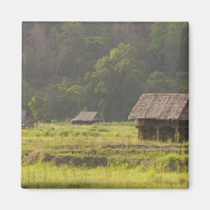 Aimant Asie, Thaïlande, Mae Hong Son, Cabanes de riz dans