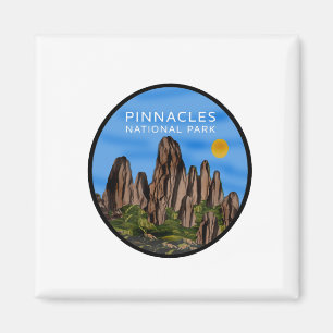 AIMANT ASPIRATIONS ET PINACTES