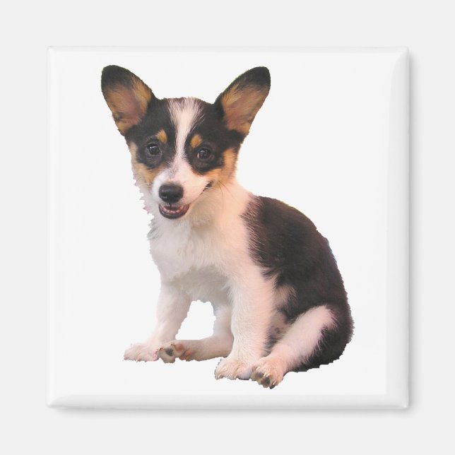 Aimant Assis Cardigan Welsh Corgi Puppy (Devant)