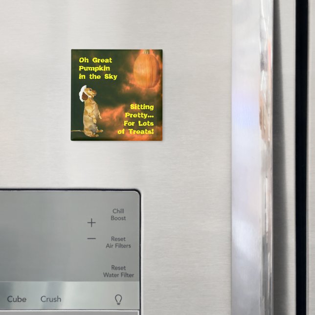 Aimant Assis Joli pour beaucoup de soins (In situ (réfrigérateur))