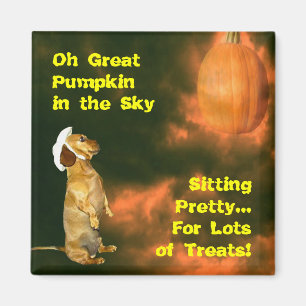 Aimant Assis Joli pour beaucoup de soins